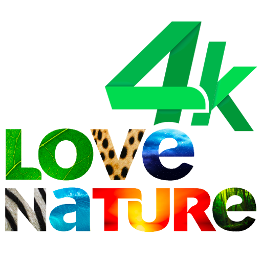 Logo kanału